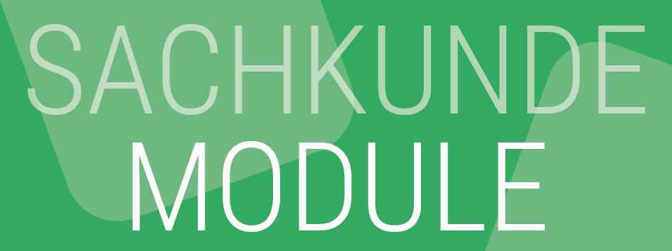 Modul 2: 20. – 23. August 2026, Die neue Betreuungsführung